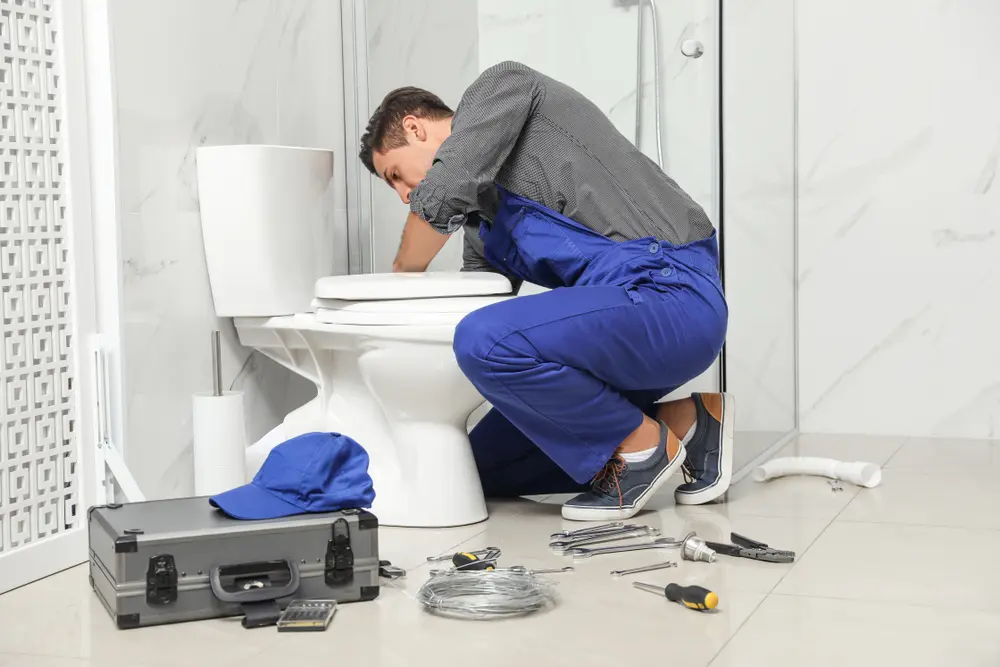 Toilet Installation in Selbyville